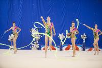 Соревнования по художественной гимнастике на призы благотворительного фонда «Земляки», Фото: 164