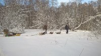 Зимний поход с собаками, Фото: 3