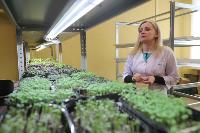 Елена Киеня выращивает микрозелень, Фото: 17