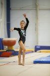 Спортивная гимнастика в Туле 3.12, Фото: 95