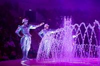 Шоу фонтанов «13 месяцев»: успей увидеть уникальную программу в Тульском цирке, Фото: 273