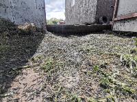 Деревню под Тулой атаковали прожорливые гусеницы , Фото: 22