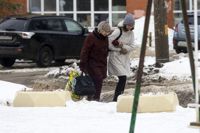 Улицы Тулы сковало льдом: фоторепортаж	, Фото: 46