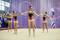Всероссийские соревнования по художественной гимнастике на призы Посевиной, Фото: 59