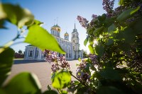 Яблони у кремля, Фото: 10