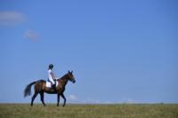 В Ясной поляне стартовал турнир по конному спорту, Фото: 114