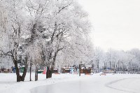 Платоновский парк в инее, Фото: 31