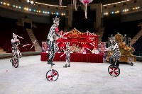 Грандиозное цирковое шоу «Песчаная сказка» впервые в Туле!, Фото: 11