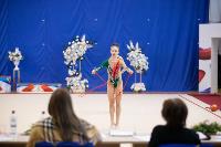 Соревнования по художественной гимнастике на призы благотворительного фонда «Земляки», Фото: 91