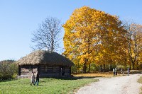 Золотая осень в Ясной Поляне, Фото: 48