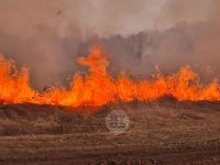В Федоровке огонь с горящего поля едва не перекинулся на дома, Фото: 14