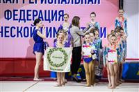Соревнования по эстетической гимнастике «Кубок Роксэт», Фото: 131