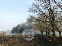 В Туле загорелось поле, Фото: 22