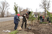 Высадка деревьев в Мясново, 4 апреля 2014 г., Фото: 1