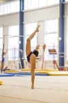 Спортивная гимнастика в Туле 3.12, Фото: 182