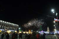 В Туле завершились новогодние гуляния, Фото: 39