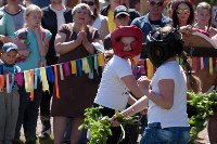 В Тульской области прошел фестиваль крапивы, Фото: 160