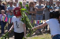 В Тульской области прошел фестиваль крапивы, Фото: 154