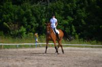 В Ясной поляне стартовал турнир по конному спорту, Фото: 97