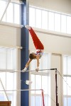 Спортивная гимнастика в Туле 3.12, Фото: 13