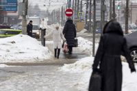 Улицы Тулы сковало льдом: фоторепортаж	, Фото: 28