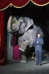 Пресс-конференция "Шоу слонов", Фото: 33