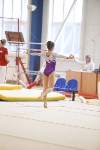 Спортивная гимнастика в Туле 3.12, Фото: 163