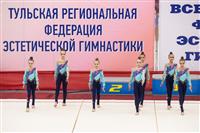 Соревнования по эстетической гимнастике «Кубок Роксэт», Фото: 27