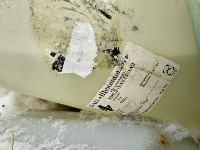 Незаконная свалка химикатов в Туле, Фото: 19