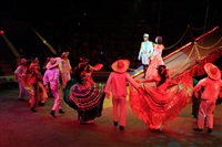 Цирк «Вива, Зорро!» в Туле , Фото: 66