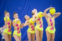 Соревнования по художественной гимнастике на призы благотворительного фонда «Земляки», Фото: 144