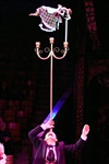 Цирк «Вива, Зорро!» в Туле , Фото: 33