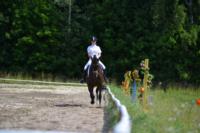 В Ясной поляне стартовал турнир по конному спорту, Фото: 86