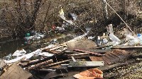 Поселок Славный в Тульской области зарастает мусором, Фото: 10