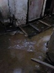 В Туле больше 10 лет управляющая компания не может отремонтировать канализационные сети, Фото: 5