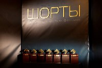 Кинофестиваль Шорты-2017, Фото: 6