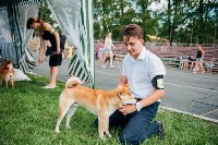 Всероссийская выставка собак в Туле: серьезные сенбернары, изящные пудели и милые шпицы, Фото: 4