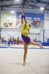 Спортивная гимнастика в Туле 3.12, Фото: 122