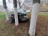 В Туле BMW влетел в дерево: пострадал водитель, Фото: 2