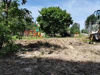 вырубка деревьев во дворе дома №33 по ул. Горького в Туле, Фото: 4