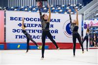 Соревнования по эстетической гимнастике «Кубок Роксэт», Фото: 143
