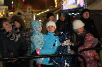 Открытие главной ёлки на площади Ленина, Фото: 24