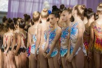 Всероссийские соревнования по художественной гимнастике на призы Посевиной, Фото: 14