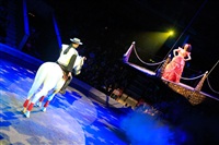 Цирк «Вива, Зорро!» в Туле , Фото: 63