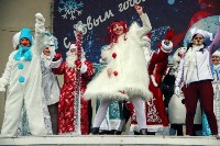 "Битва Дедов Морозов" в Центральном парке, Фото: 21