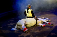Цирк «Вива, Зорро!» в Туле , Фото: 64
