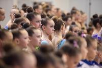 Соревнования по художественной гимнастике на призы благотворительного фонда «Земляки», Фото: 218