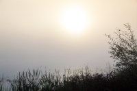Центральный парк, утро, осень, Фото: 16