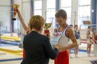 Спортивная гимнастика в Туле 3.12, Фото: 57
