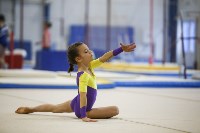 Спортивная гимнастика в Туле 3.12, Фото: 118